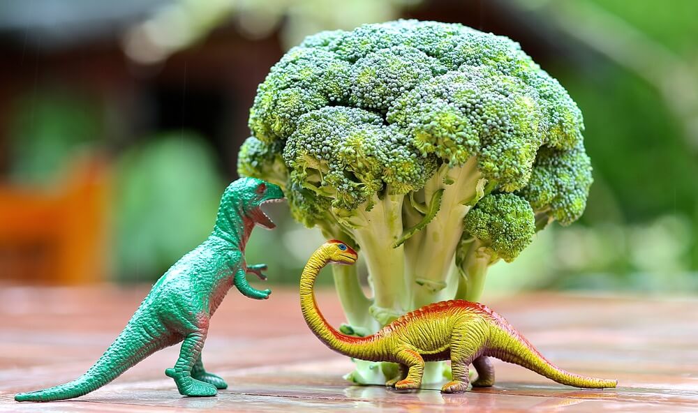 Broccoli Hälsosam