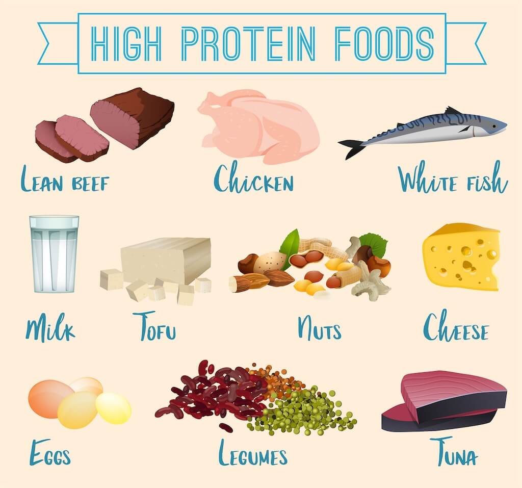 Mat med mycket protein